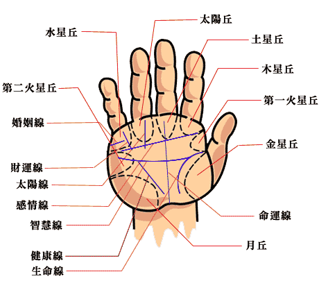 凯帝阿手相算命图解之线纹介绍