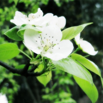 水瓶座男生的那些臭毛病(图文)