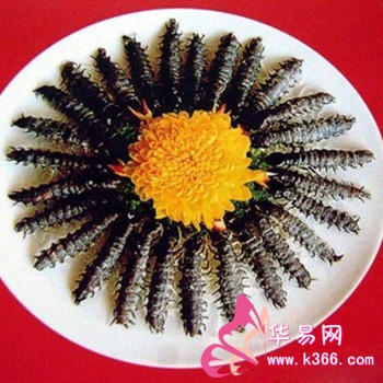 梦见蜈蚣周公解梦,探索梦境中的奥秘与启示 梦见蜈蚣周公解梦,探索梦境中的奥秘与启示