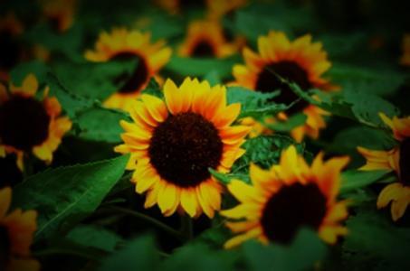 三月属于什么月 12-1Z215221131N9.jpg