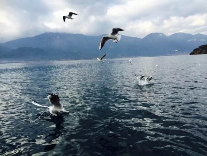 二月二十五日子好不好 10-1Z222163205215.jpg