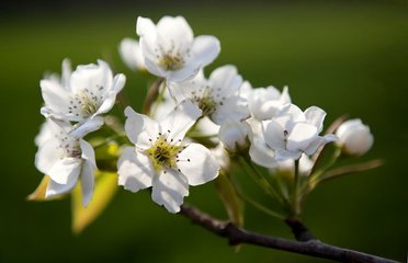 成语浩什么_成语故事图片(3)