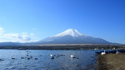 什么破浪成语_长风破浪会有时(3)