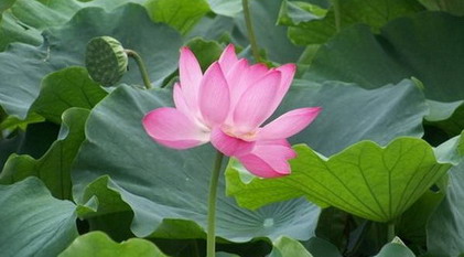 闰六月