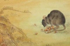 生肖属鼠的哪个时辰出生最好？什么是生肖鼠？