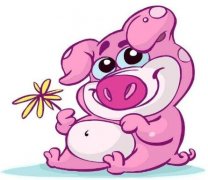 属猪的人风水吉祥花是什么？