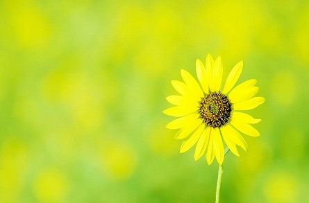 2019年农历六月二十九日子好不好?可以结婚办