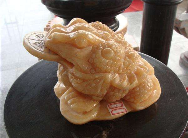为什么金蟾会有招财的寓意？金蟾的摆放有什么风水讲究？(图文)