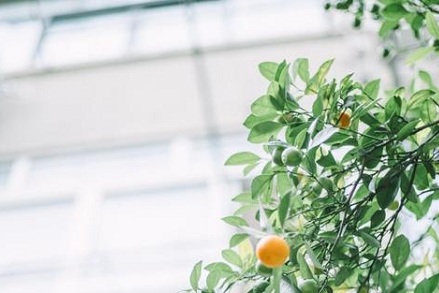 八月十四日子好吗 3-1ZF91A6241X.jpg