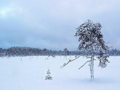 什么叫立冬 16-1Z92G03K0593.jpg