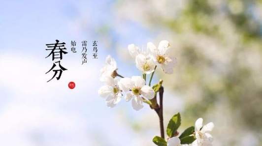 春分吃什么饭好 7-200115153J4X8.jpg