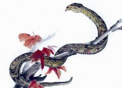 属蛇正月初一春节出生的人是什么命
