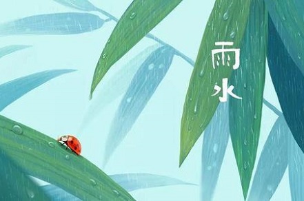 2020年雨水出九了吗?