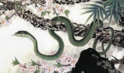 蛇贵人是什么 18-2002191RG0K3.jpg