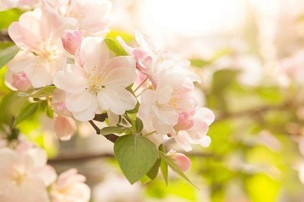 三月三十日子好不好 3-2005261I051E9.jpg