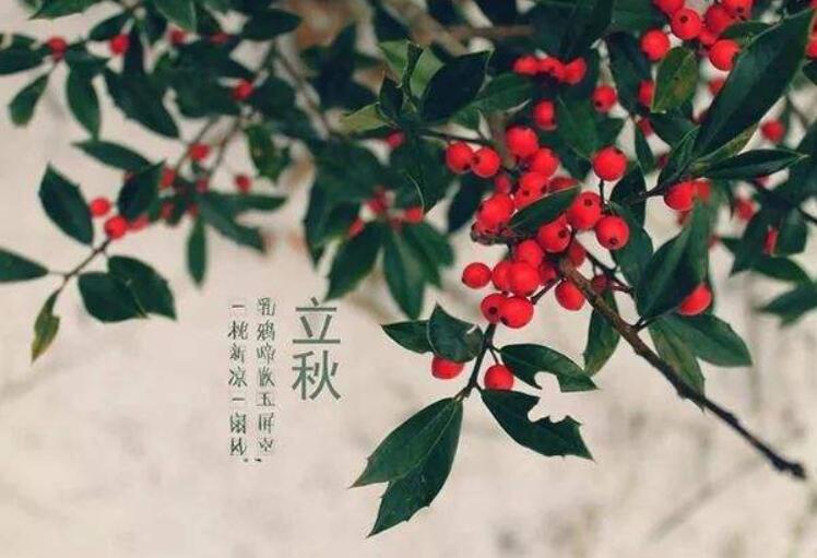 2020年立秋过后还热吗?立秋过后会降温吗?