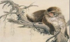1956年生肖猴的文昌贵人是什么生肖？