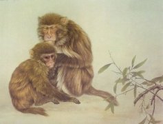 出生年份是1968年的属猴人文昌贵人属什么？