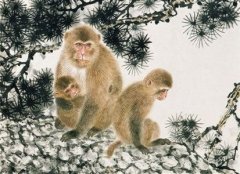 2004年属猴的人出生文昌贵人是谁？