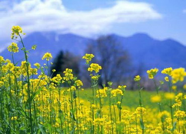 三月十四禁忌 28-210401142GD32.jpg