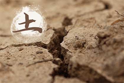 水生什么木 16-21040910321E30.jpg