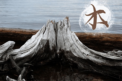 什么叫五行缺木 16-210414155222332.jpg