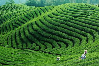 农历六月适合去哪里旅游?这个季节去哪儿旅游好