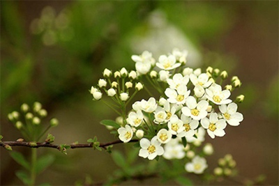 三月十六日出生的女孩 19-210624112130136.jpg