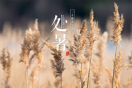 处暑是什么季节的节气?
