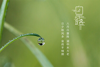 白露节气之后是什么节气