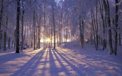 2022年1月28日 16-211202155421130.jpg