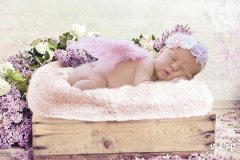 2022年10月12日出生的女宝宝缺火取属火字的名字