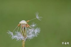 十二星座女生智商排名與個(gè)性特點(diǎn)