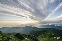 98年屬虎男2025年運(yùn)勢(shì)和婚姻如何,98虎2025正緣方向