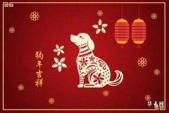 1982年屬狗是什么命,82年狗43歲桃花劫是誰