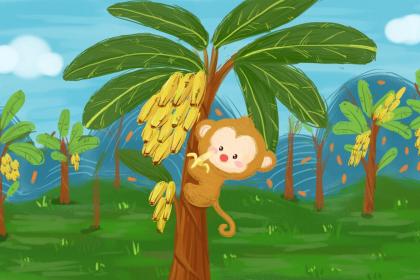 属猴子时出生是什么命？关于生肖猴人你了解多少？