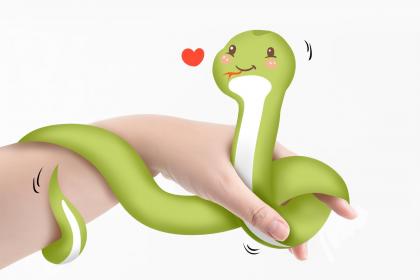 属蛇的爱情底线是什么