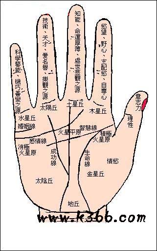 各指节代表什么性格
