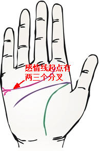 擅长写作的人的手相特征