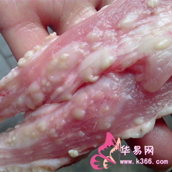 梦见寄生虫 周公解梦 华易算命网