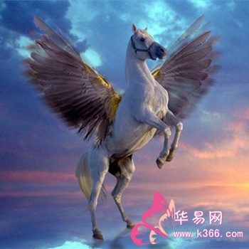 飞翔的梦幻之旅，我梦见自己骑着一匹雪白的能飞的马有翅膀