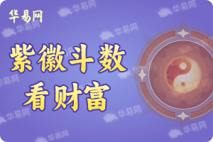 紫微斗数