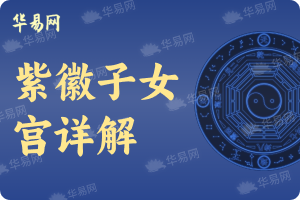 紫微斗数