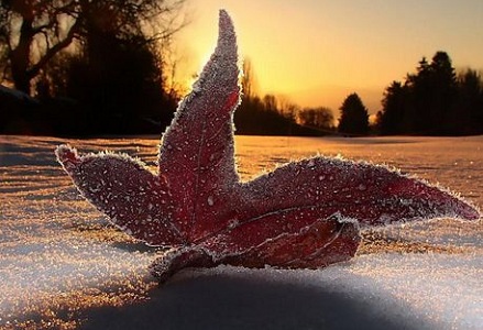 2018年霜降出生的孩子有寓意起名大全,如何为