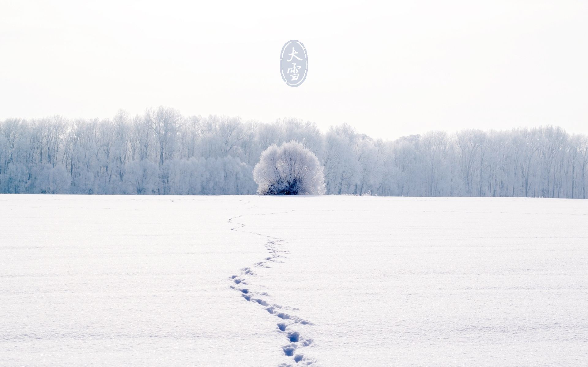 大雪出生的女孩命运好吗大雪出生的女孩有何特点