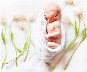 19年3月10号出生的男宝宝五行缺木要如何起名字 华易算命网