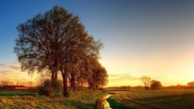 19年3月10号出生的女宝宝五行缺水要如何起名字 华易算命网