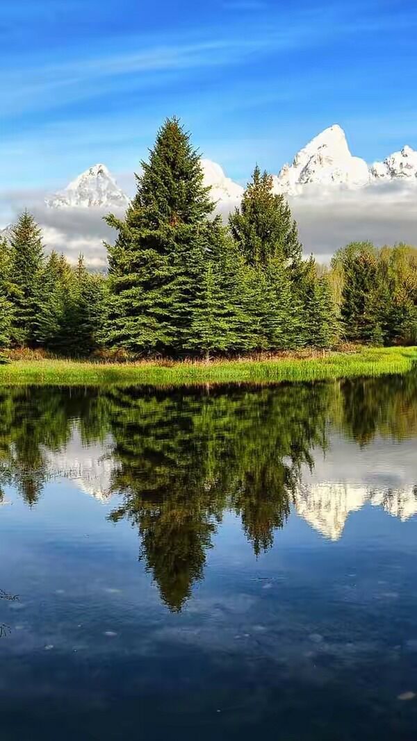 6月份出生的属猴男孩什么名最好