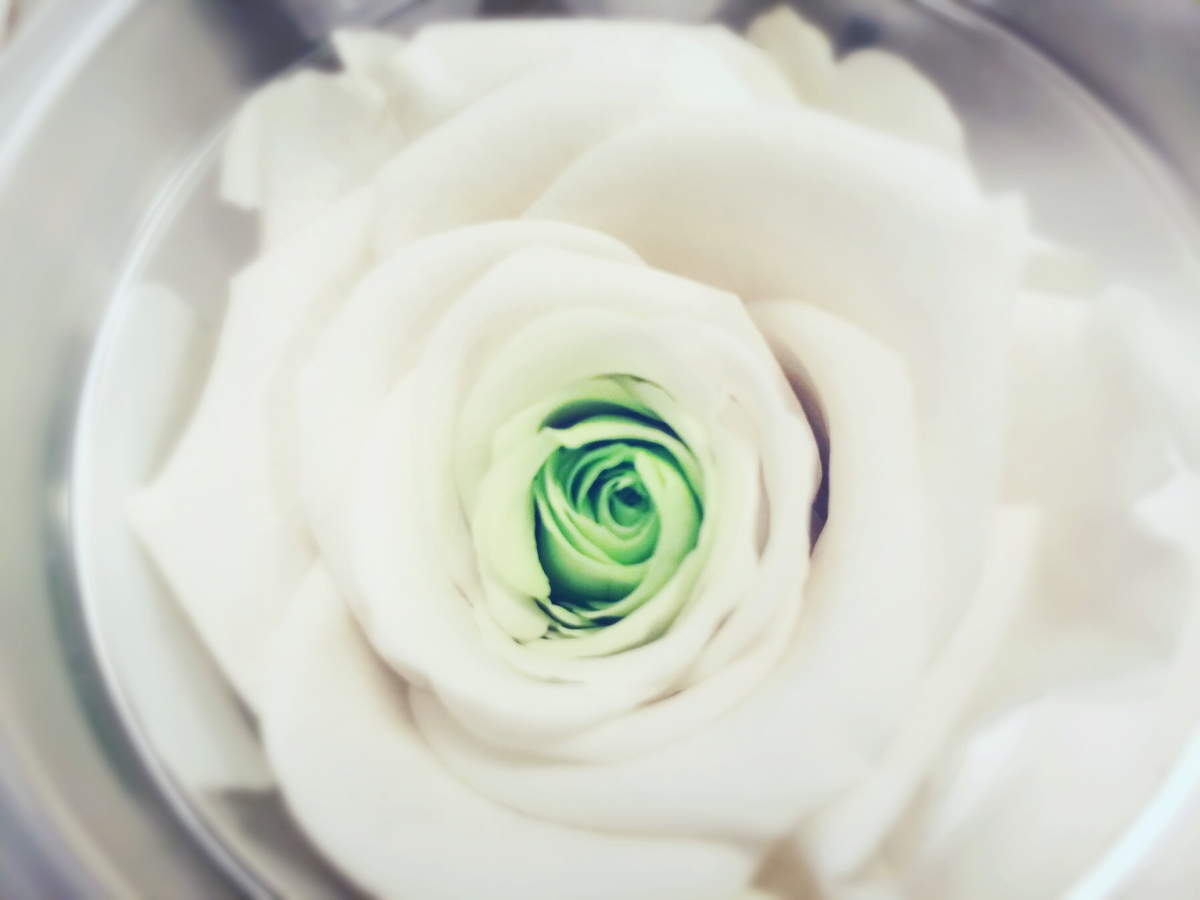 1957年是闰年吗 有没有闰月 华易算命网