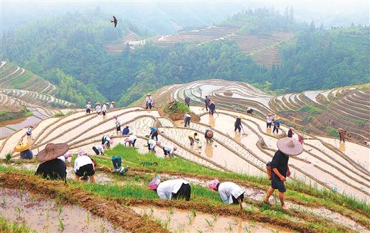 这天可以登记结婚证吗?领证需要带什么证件?